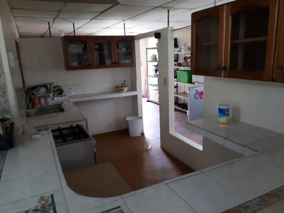 Gia'S Garage & Home For Bocas Travelers Almirante 외부 사진